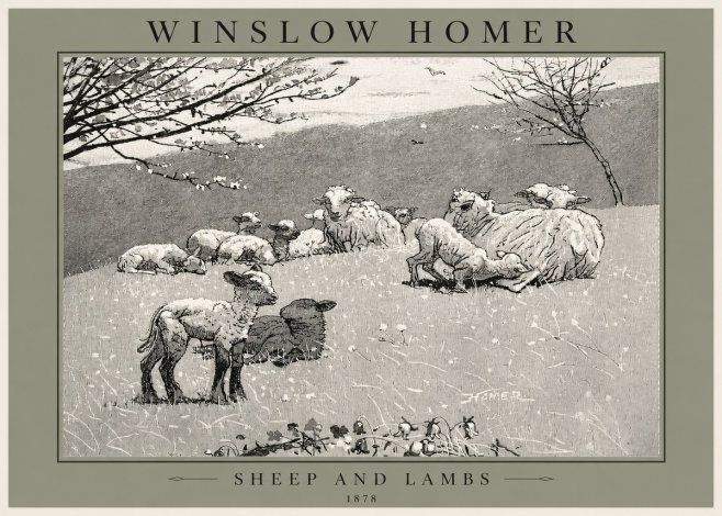 Winslow Homer Sheep and Lambs No2 - Plakat
