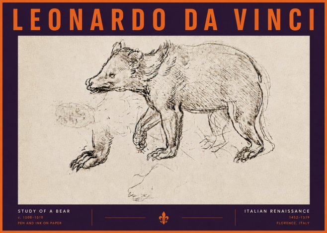 Leonardo da Vinci Study of a Bear No6 - Plakat