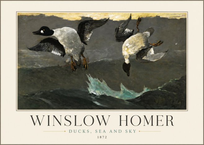 Winslow Homer Ducks, Sea and Sky No3 - Plakat
