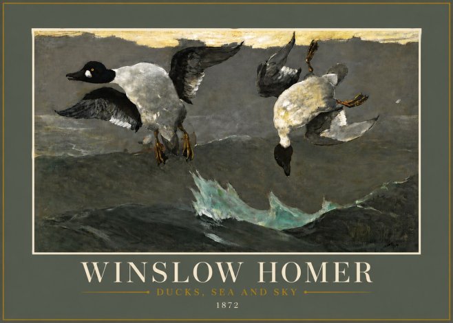 Winslow Homer Ducks, Sea and Sky No6 - Plakat