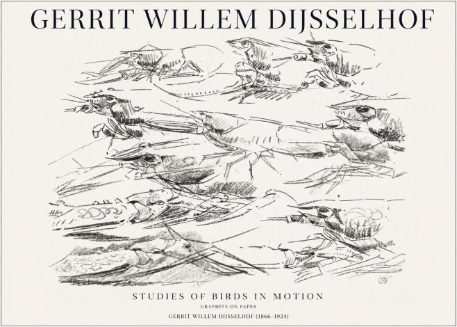 Gerrit Willem Dijsselhof Studies of Birds in Motion No1 - Plakat