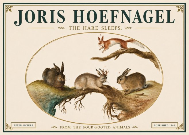 Joris Hoefnagel Lepvs Dormit No6 - Plakat