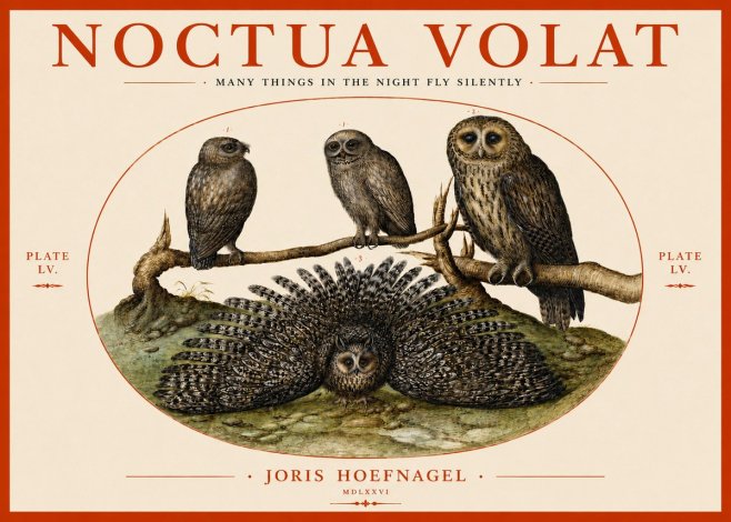 Joris Hoefnagel Noctva Volat No4 - Plakat