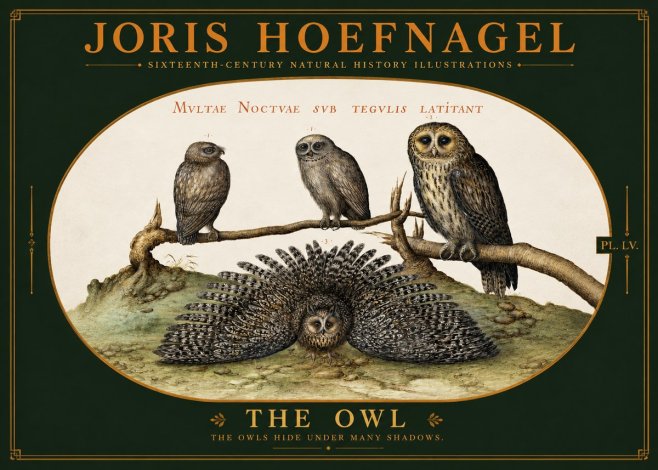 Joris Hoefnagel Noctva Volat No6 - Plakat