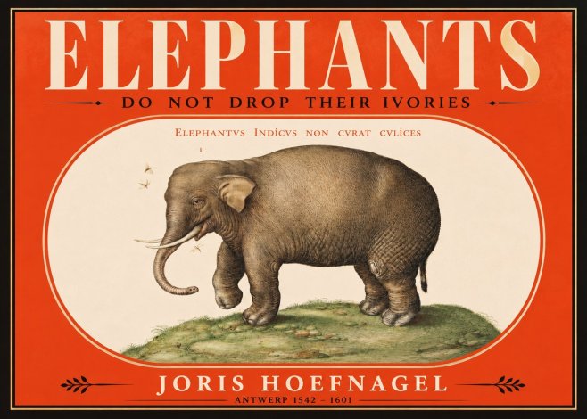 Joris Hoefnagel Elephant Does Not Drop Its Ivories No2 - Plakat