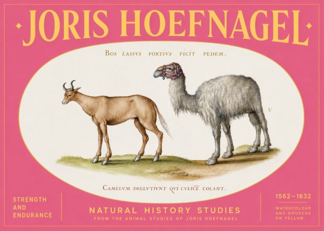 Joris Hoefnagel A Study of Strength and Endurance No2 - Plakat