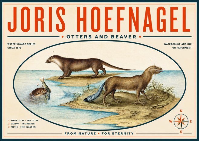 Joris Hoefnagel The Four-footed Creatures No6 - Plakat