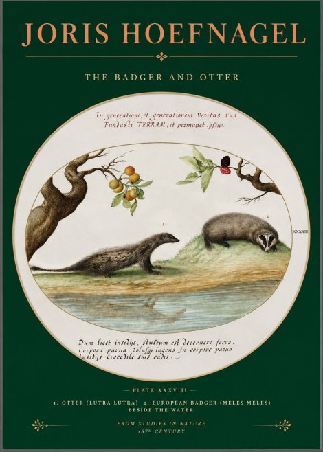 Joris Hoefnagel Studies of Animals and Nature Xxxxiii No3 - Plakat