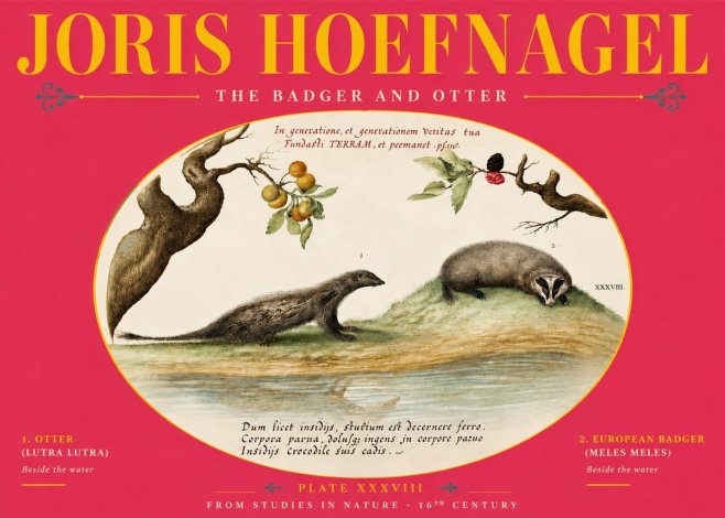 Joris Hoefnagel Studies of Animals and Nature Xxxxiii No6 - Plakat