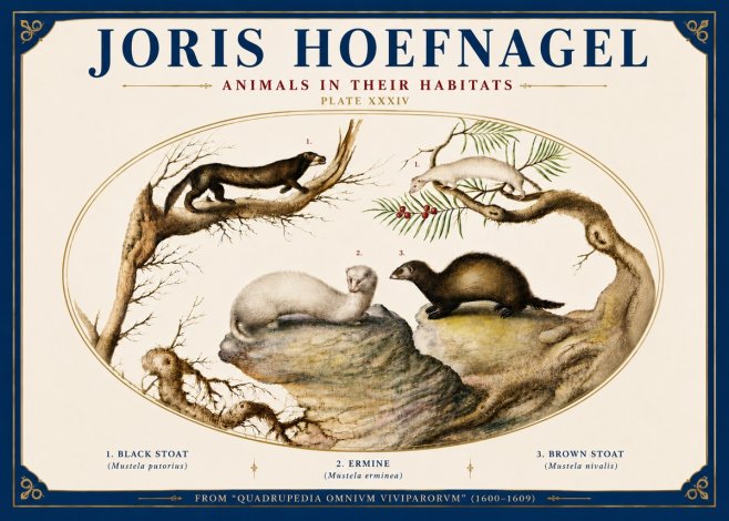 Joris Hoefnagel Animals in Their Habitats Plate Xxxiv No6 - Plakat