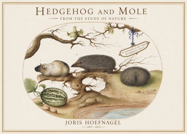 Joris Hoefnagel Hedgehog and Mole No1 - Plakat