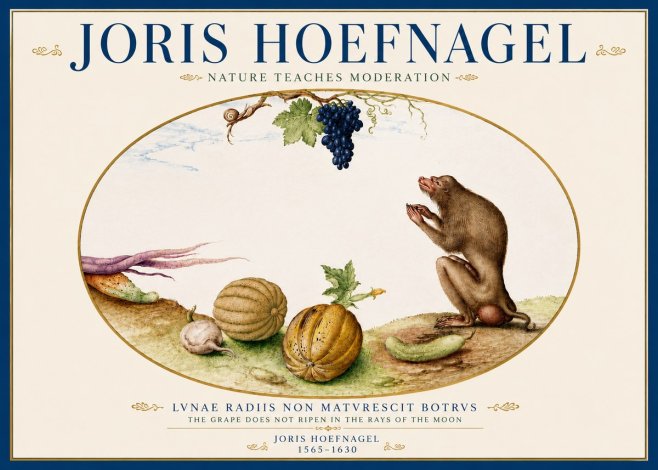 Joris Hoefnagel Nature Teaches Moderation No5 - Plakat