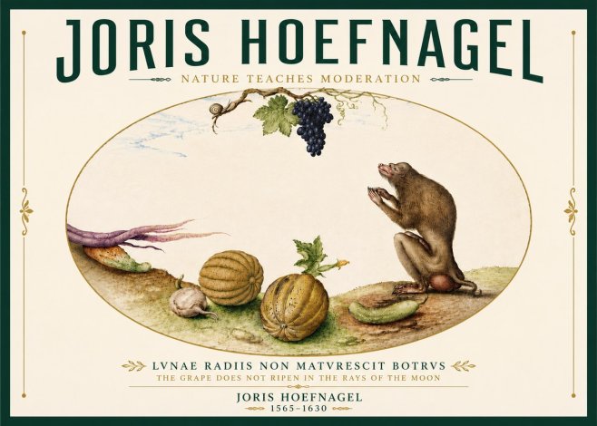 Joris Hoefnagel Nature Teaches Moderation No6 - Plakat