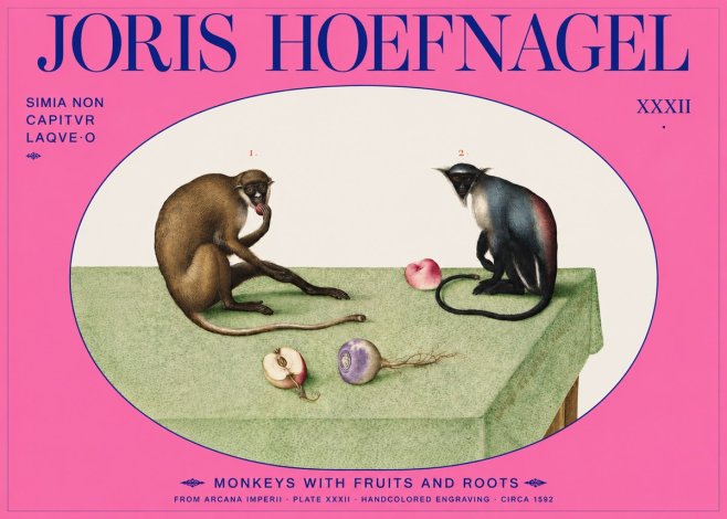 Joris Hoefnagel Monkeys with Fruits and Roots No2 - Plakat