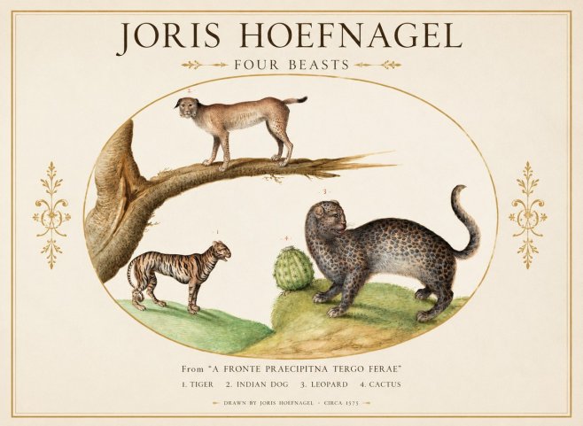 Joris Hoefnagel Four Beasts No1 - Plakat