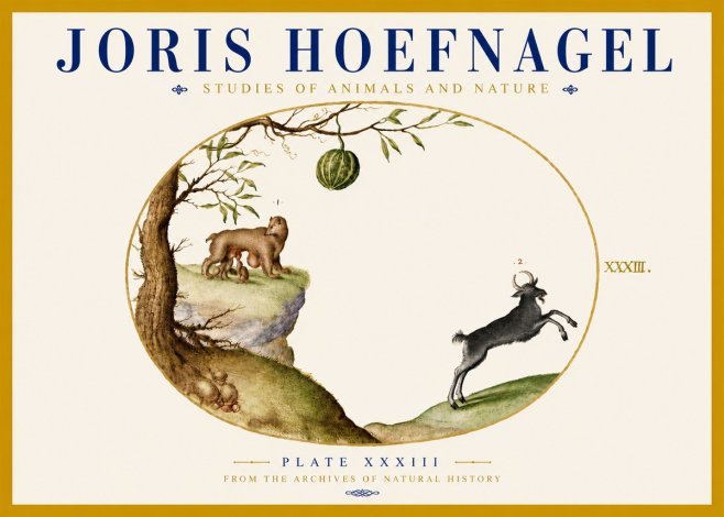 Joris Hoefnagel Plate Xxxiii No5 - Plakat