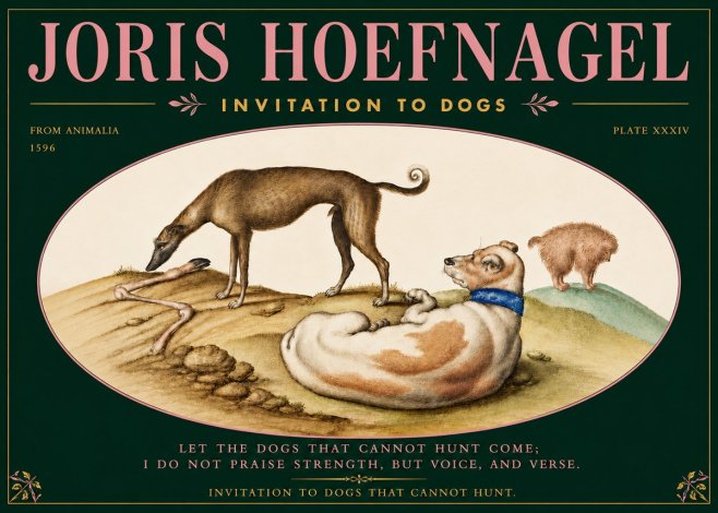Joris Hoefnagel Invitation to Dogs No5 - Plakat
