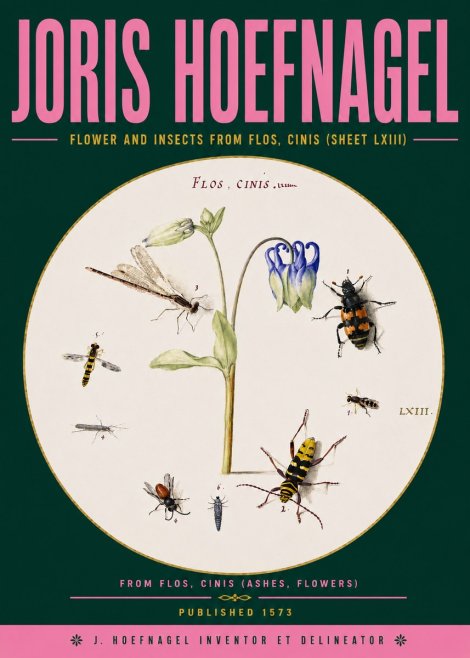 Joris Hoefnagel Insects and a Flower Study No6 - Plakat