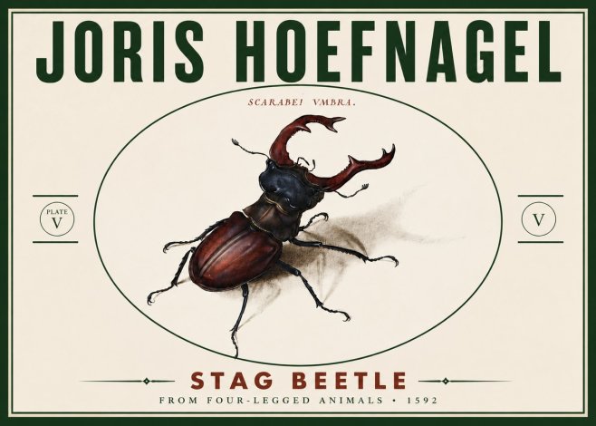 Joris Hoefnagel Stag Beetle No6 - Plakat