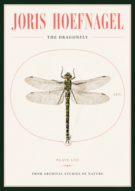 Joris Hoefnagel The Dragonfly No2 - Plakat
