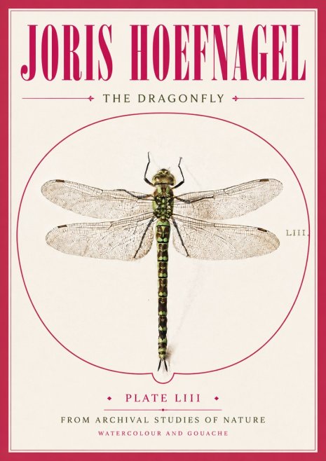 Joris Hoefnagel The Dragonfly No5 - Plakat