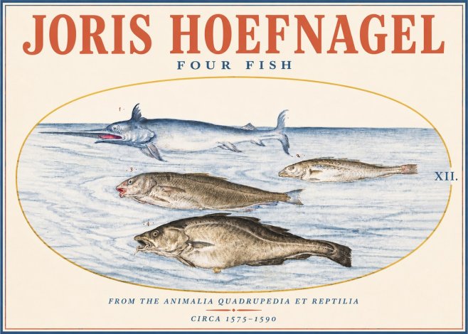 Joris Hoefnagel Four Fish No3 - Plakat