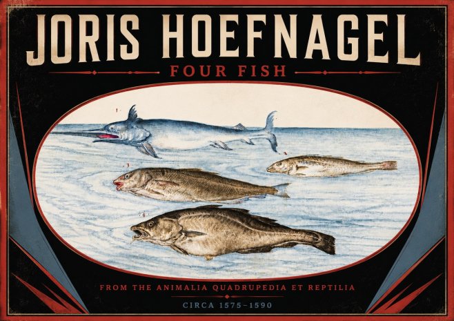 Joris Hoefnagel Four Fish No5 - Plakat