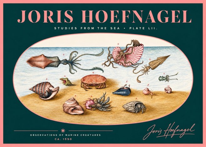 Joris Hoefnagel Marine Creatures - Plate Lii No2 - Plakat