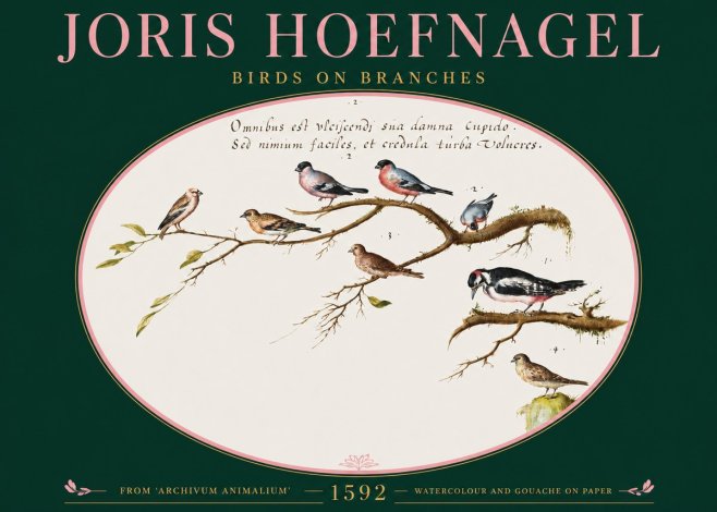 Joris Hoefnagel Birds on Branches No2 - Plakat