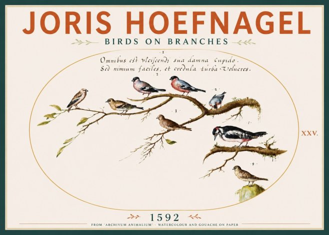 Joris Hoefnagel Birds on Branches No4 - Plakat