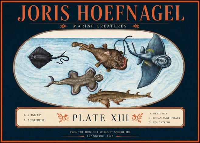Joris Hoefnagel Marine Creatures Plate Xiii No2 - Plakat