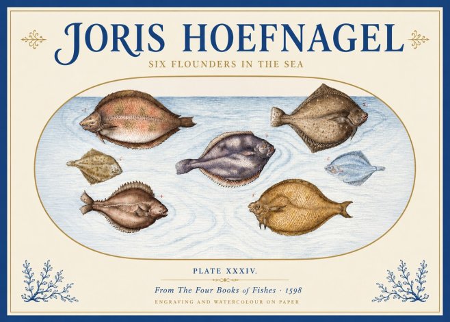 Joris Hoefnagel Six Flounders in the Sea No3 - Plakat