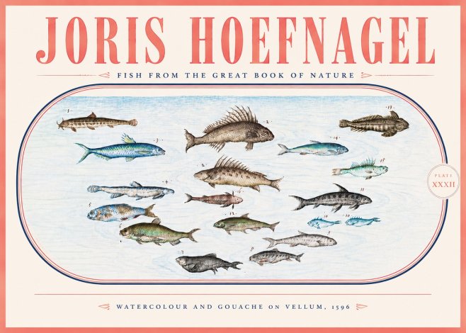 Joris Hoefnagel Fish from the Great Book of Nature No5 - Plakat