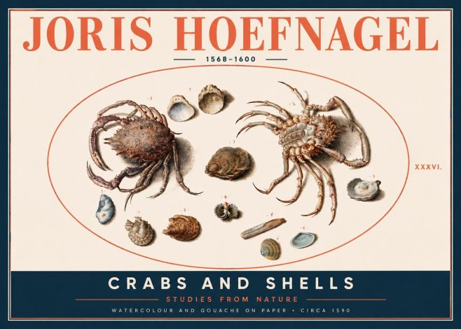 Joris Hoefnagel Crabs and Shells - Studies from Nature No4 - Plakat