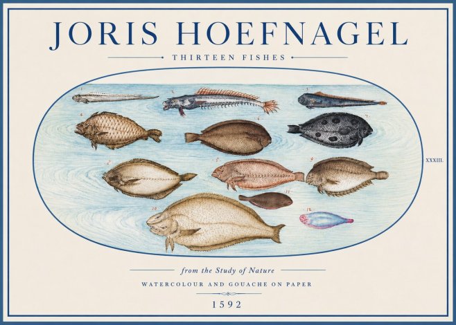 Joris Hoefnagel Thirteen Fishes from the Study of Nature No4 - Plakat