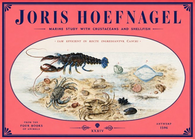 Joris Hoefnagel Marine Study with Crustaceans and Shellfish No4 - Plakat