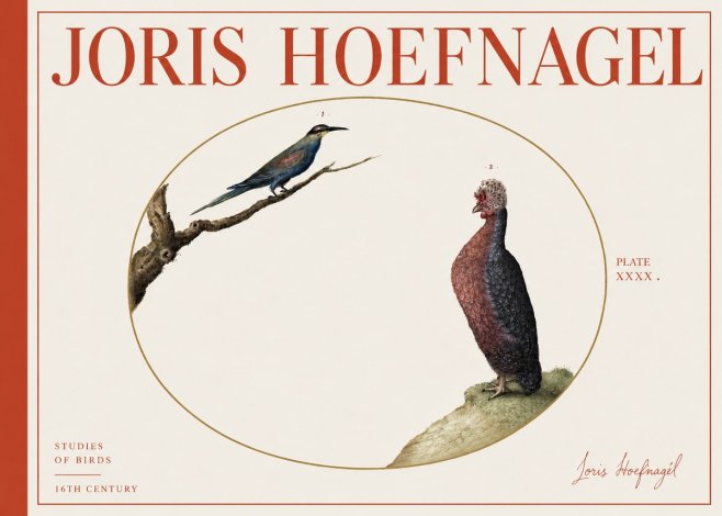 Joris Hoefnagel Studies of Birds I No4 - Plakat