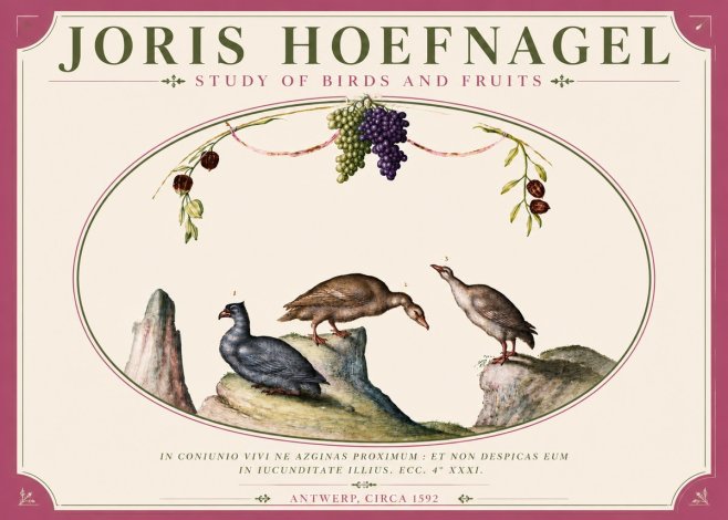 Joris Hoefnagel Three Birds with Grapes and Inscription No6 - Plakat