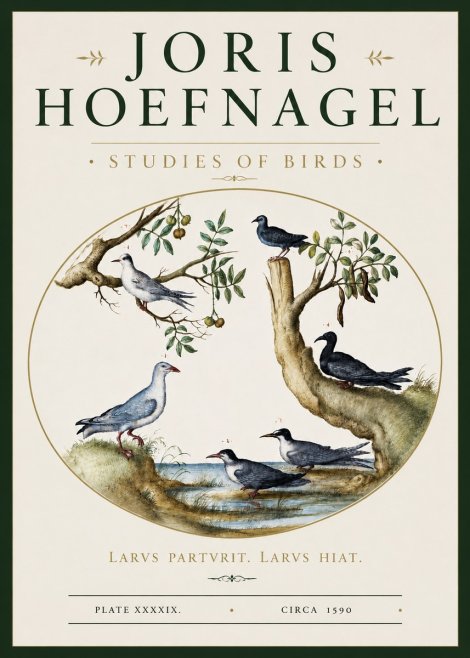 Joris Hoefnagel Studies of Birds II No3 - Plakat