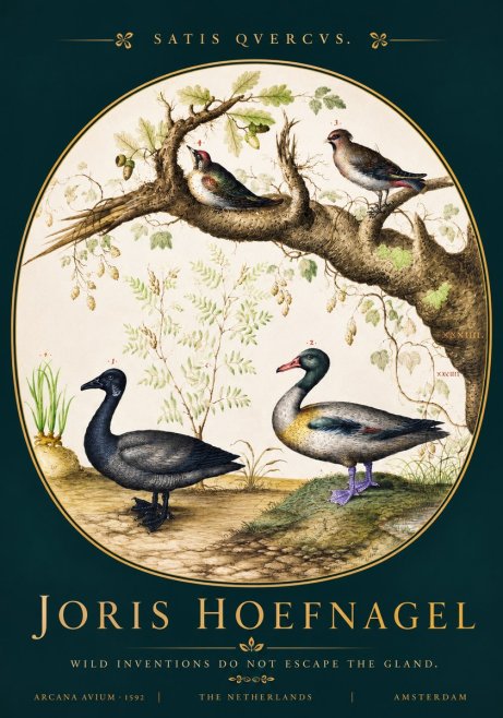 Joris Hoefnagel Satis Quercus. Birds of the Marsh No4 - Plakat