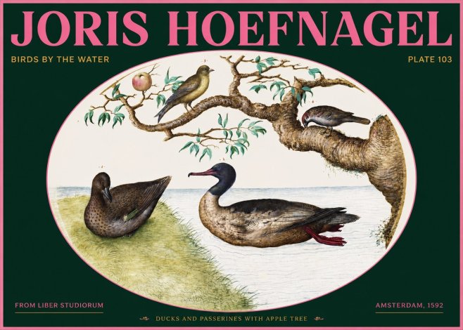 Joris Hoefnagel Ducks and Passerines with Apple Tree No2 - Plakat
