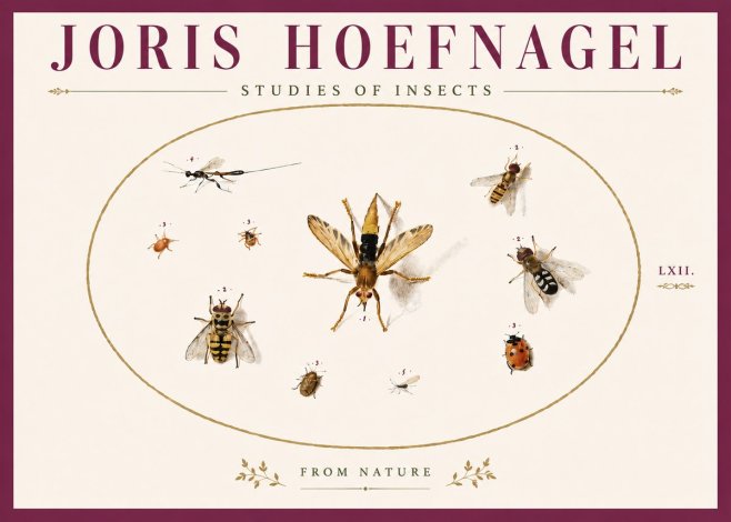 Joris Hoefnagel Studies of Insects IV No6 - Plakat