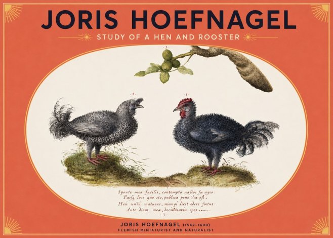 Joris Hoefnagel Study of a Hen and Rooster No3 - Plakat