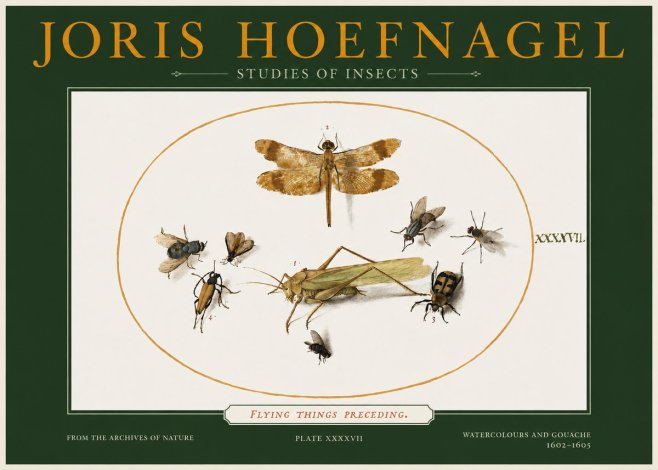 Joris Hoefnagel Flying Things Preceding. No2 - Plakat