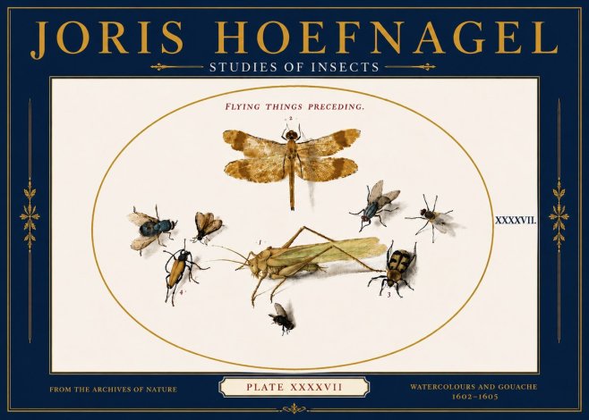 Joris Hoefnagel Flying Things Preceding. No6 - Plakat