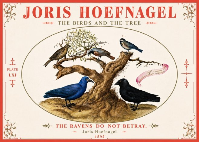 Joris Hoefnagel The Birds and the Tree No6 - Plakat