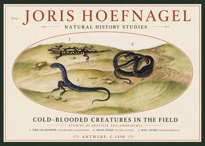 Joris Hoefnagel Cold-blooded Creatures in the Field No4 - Plakat
