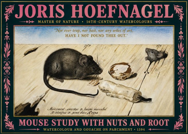 Joris Hoefnagel Mouse Study with Nuts and Root No5 - Plakat