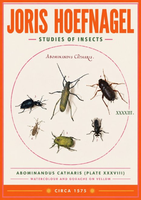Joris Hoefnagel Abominandus Catharis (Plate Xxxviii) No3 - Plakat