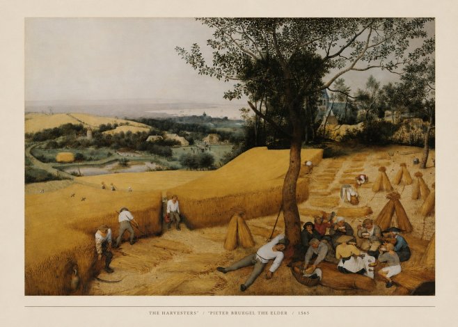 Pieter Bruegel The Harvesters II No5 - Plakat